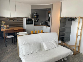 Einzimmerappartment Birkenweg